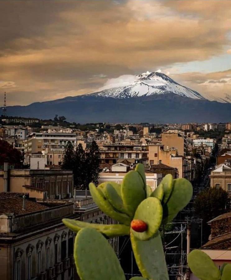 Catania Apartment Borgo Suite Autonomous المظهر الخارجي الصورة